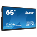 iiyama ProLite TE6504MIS-B3AG 65 Zoll Touchdisplay mit integrierter Whiteboard Funktion
