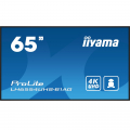 iiyama ProLite LH6554UHS-B1AG 65 Zoll UHD Digital Signage Display