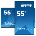 iiyama ProLite LH5554UHS-B1AG 55 Zoll Digital Signage Display