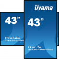 iiyama ProLite LH4354UHS-B1AG 43 Zoll Digital Signage Display