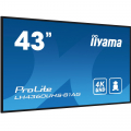iiyama ProLite LH4360UHS-B1AG 43 Zoll Digital Signage Display