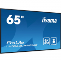 iiyama ProLite LH6560UHS-B1AG 65 Zoll Digital Signage Display