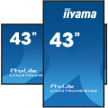 iiyama ProLite LH4375UHS-B1AG 43 Zoll Digital Signage Display