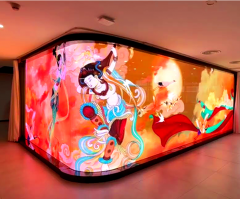 3DH Transparentes LED Display nach Maß
