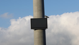 Durch eine Sonderanfertigung konnte dieses 75 Zoll Display an einer Werbepilone angebracht werden